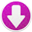 Top Pages Downloader icon